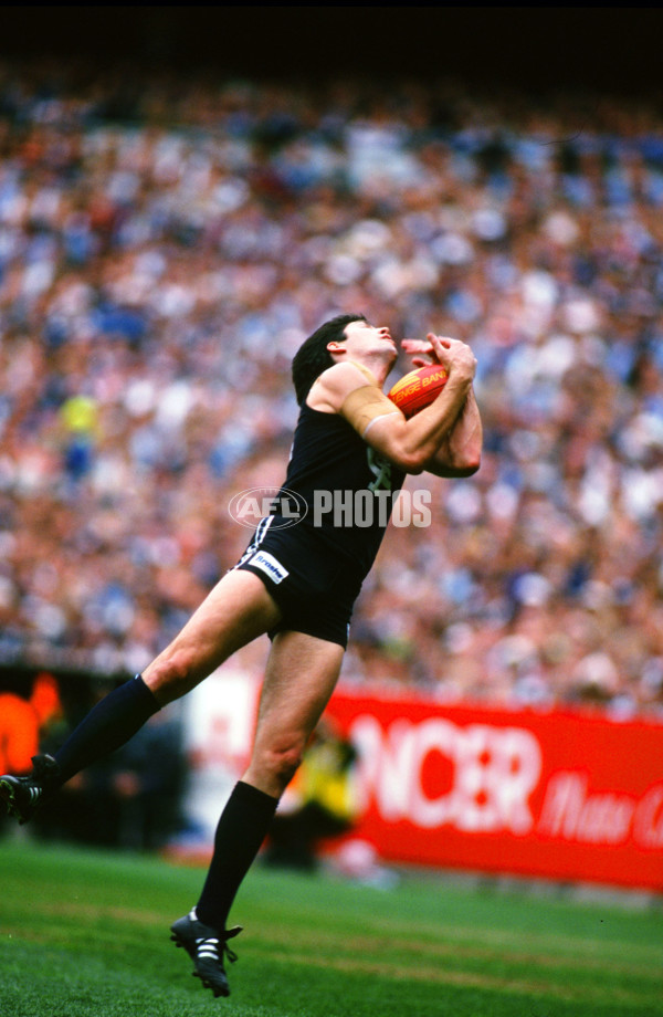 1995 AFL Grand Final - Carlton v Geelong - 20742