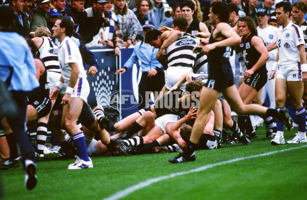 1995 AFL Grand Final - Carlton v Geelong - 20736