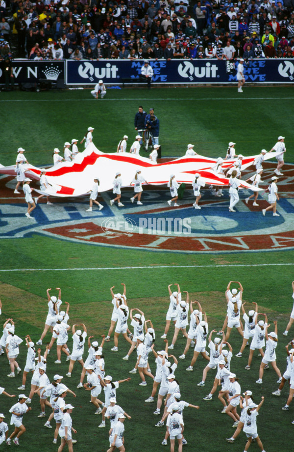 1995 AFL Grand Final - Carlton v Geelong - 20738