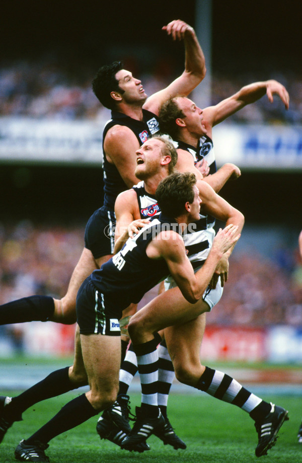 1995 AFL Grand Final - Carlton v Geelong - 20741