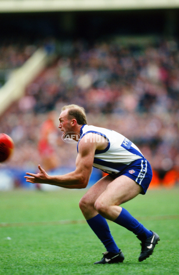 1996 AFL Grand Final - North Melbourne v Sydney - 20792