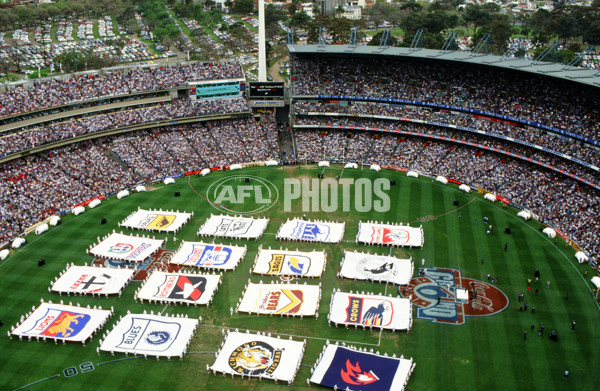 1995 AFL Grand Final - Carlton v Geelong - 20822