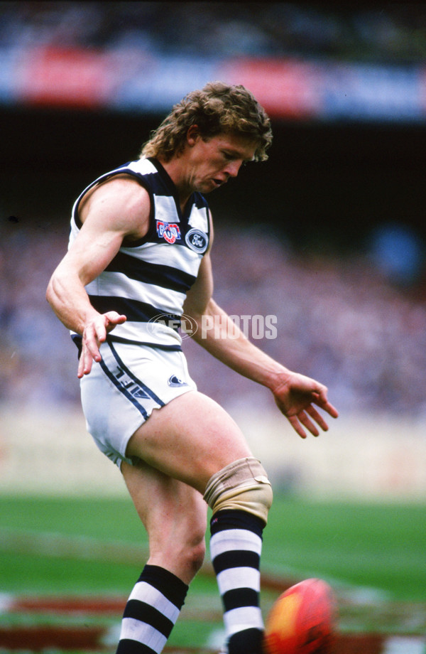 1995 AFL Grand Final - Carlton v Geelong - 20824