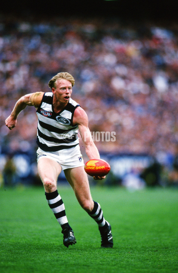 1995 AFL Grand Final - Carlton v Geelong - 20827