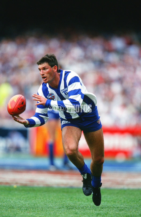 1996 AFL Grand Final - North Melbourne v Sydney - 20803