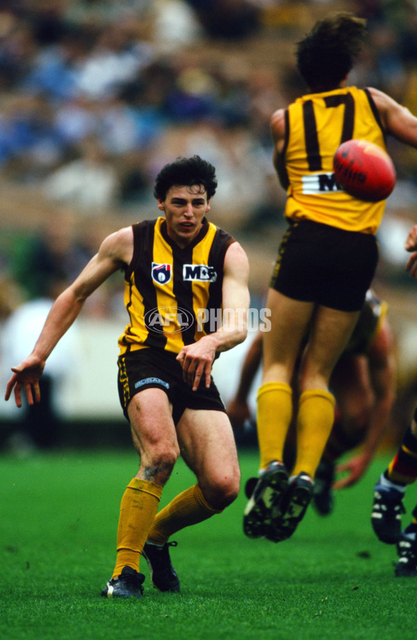 1997 AFL Round 9 - Adelaide v Hawthorn - 21125