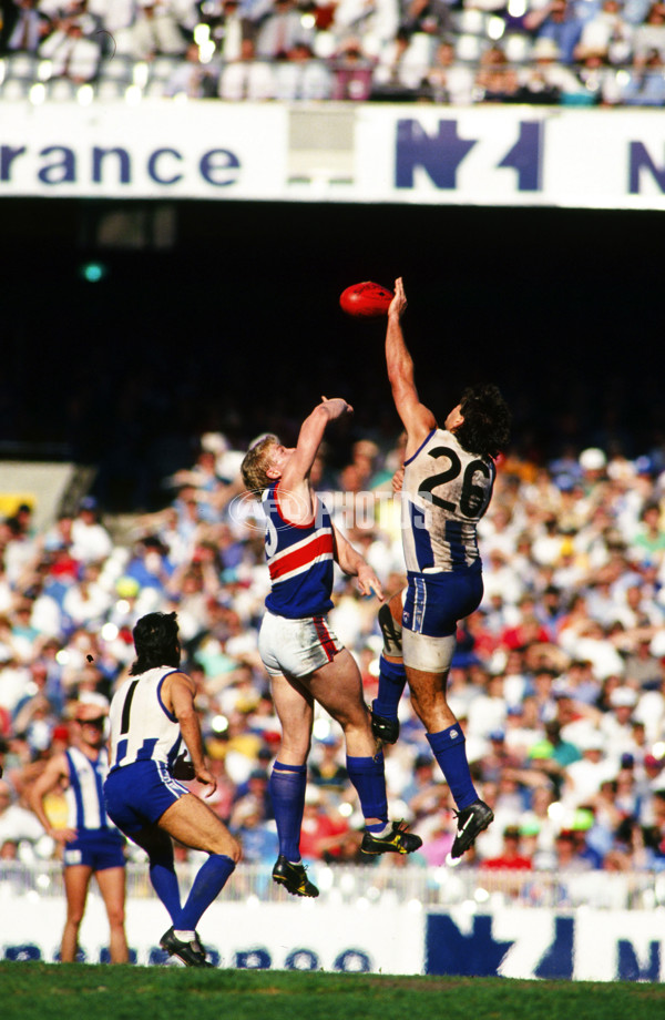 1993 AFL Round 22 - North Melbourne v Footscray - 21152