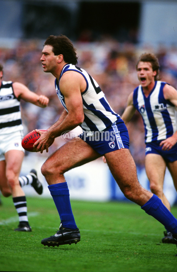 1994 AFL Round 20 - Geelong v North Melbourne - 21162