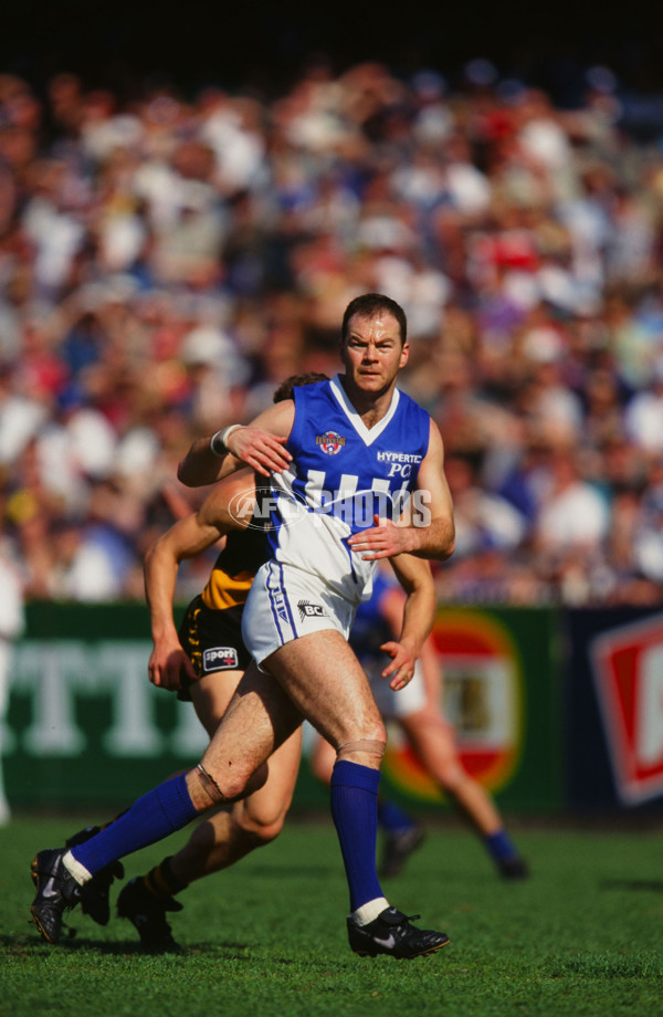 1996 AFL Round 22 - North Melbourne v Richmond - 21219