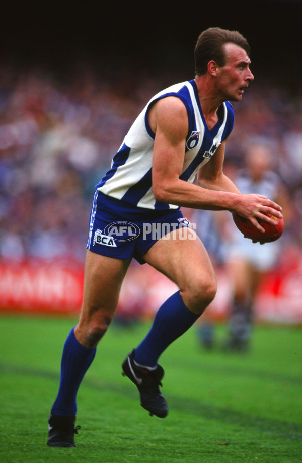 1994 AFL Round 20 - Geelong v North Melbourne - 21208
