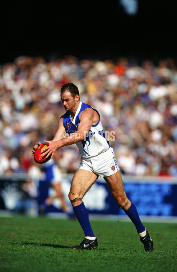 1996 AFL Round 22 - North Melbourne v Richmond - 21228