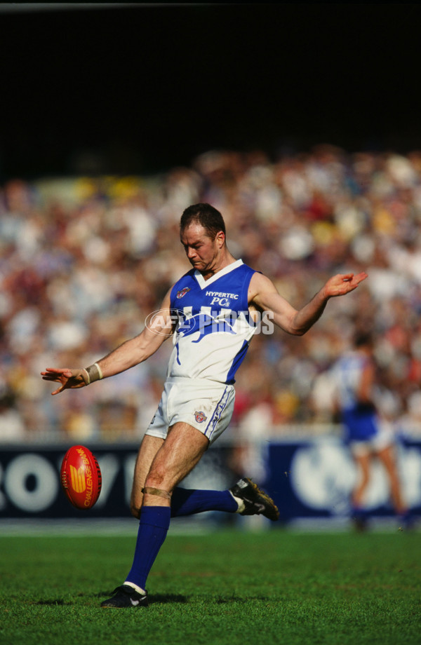 1996 AFL Round 22 - North Melbourne v Richmond - 21233