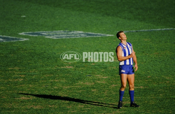 1996 AFL Grand Final - North Melbourne v Sydney - 21267
