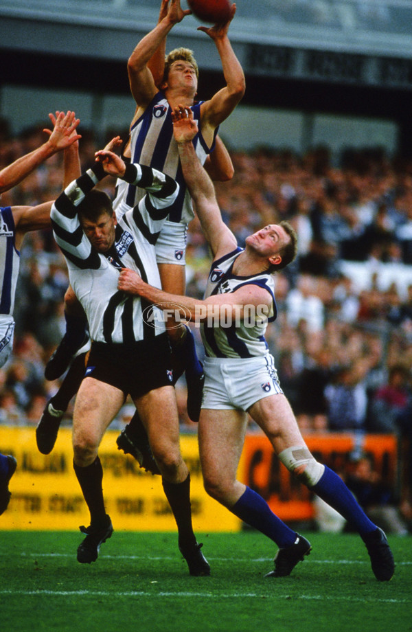 1993 AFL Round 10 - Collingwood v North Melbourne - 21352