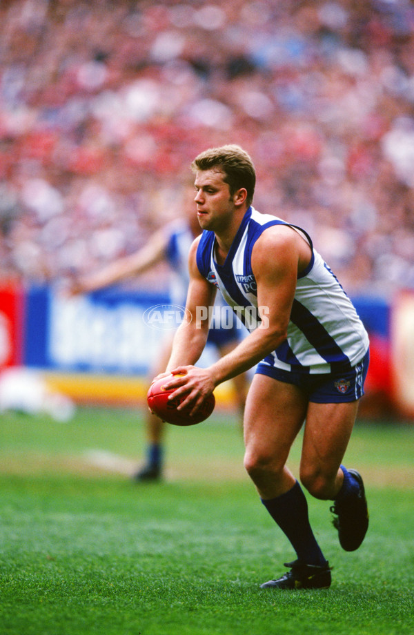 1996 AFL Grand Final - North Melbourne v Sydney - 21361