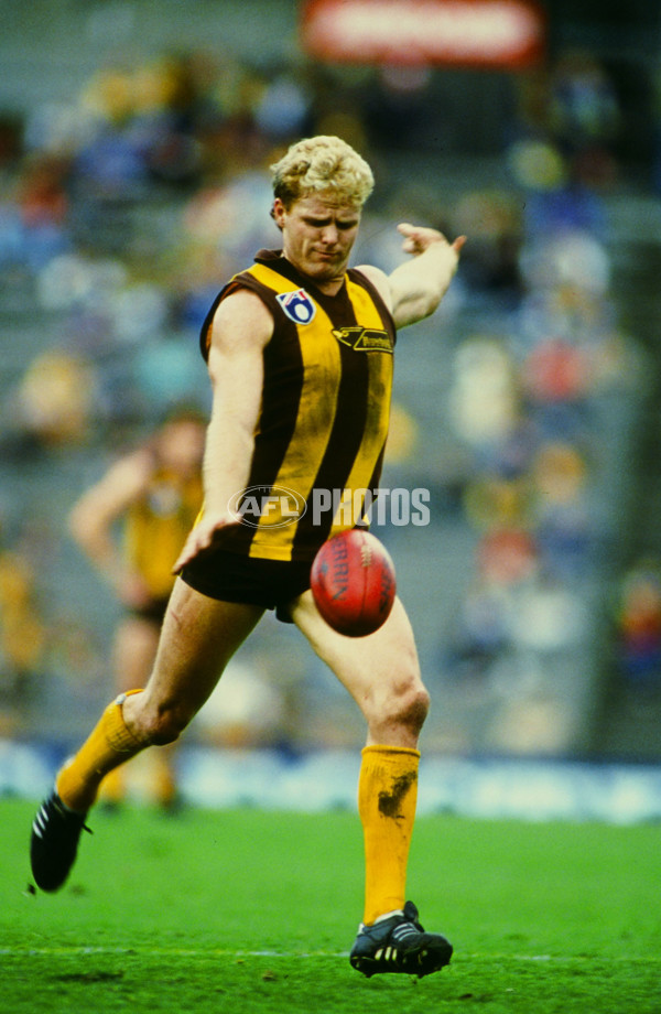 1991 AFL - Hawthorn - 21410