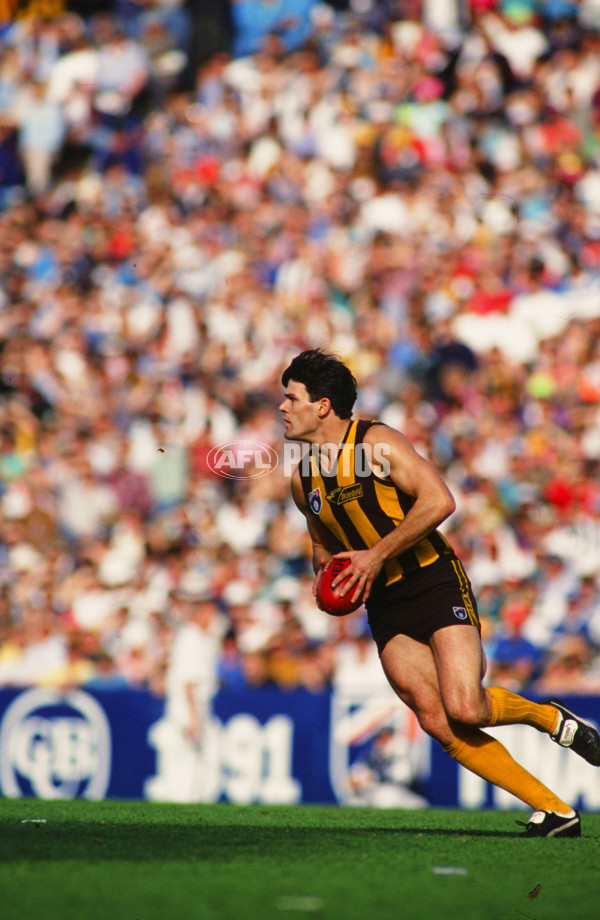1991 AFL 2nd Semi Final Final - Hawthorn v West Coast - 21433