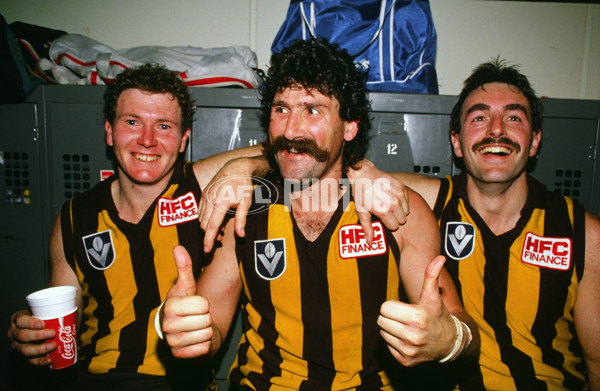 1990 AFL - Hawthorn - 21436