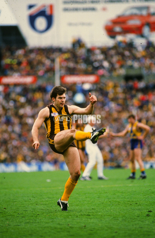 1991 AFL Grand Final - Hawthorn v West Coast - 21432
