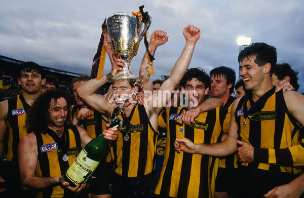 1991 AFL Grand Final - Hawthorn v West Coast - 21449