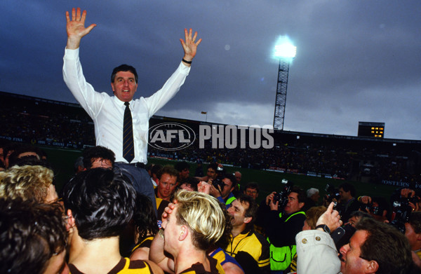1991 AFL Grand Final - Hawthorn v West Coast - 21407