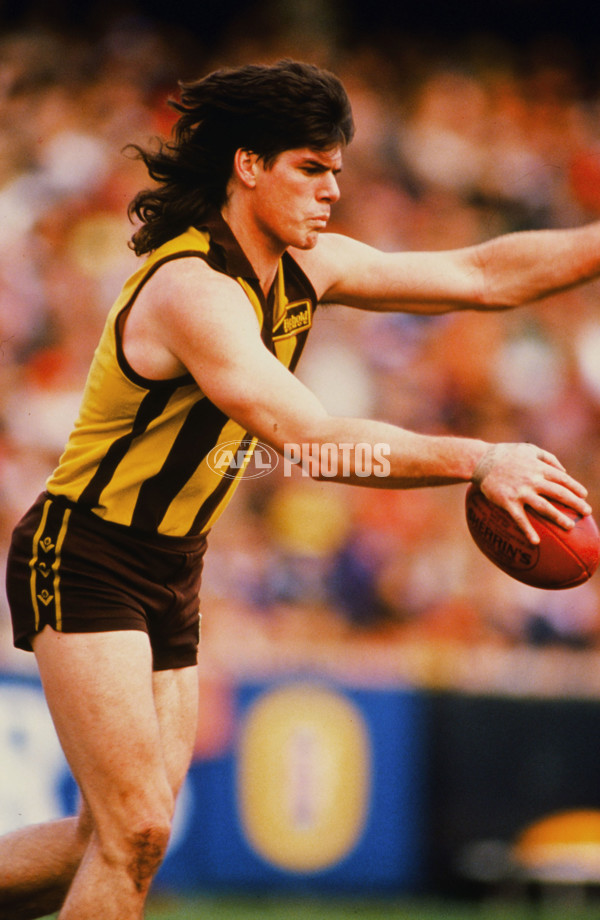 1991 AFL - Hawthorn - 21405