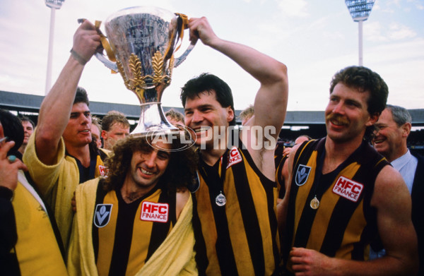 1988 AFL Grand Final - Hawthorn v Melbourne - 21412
