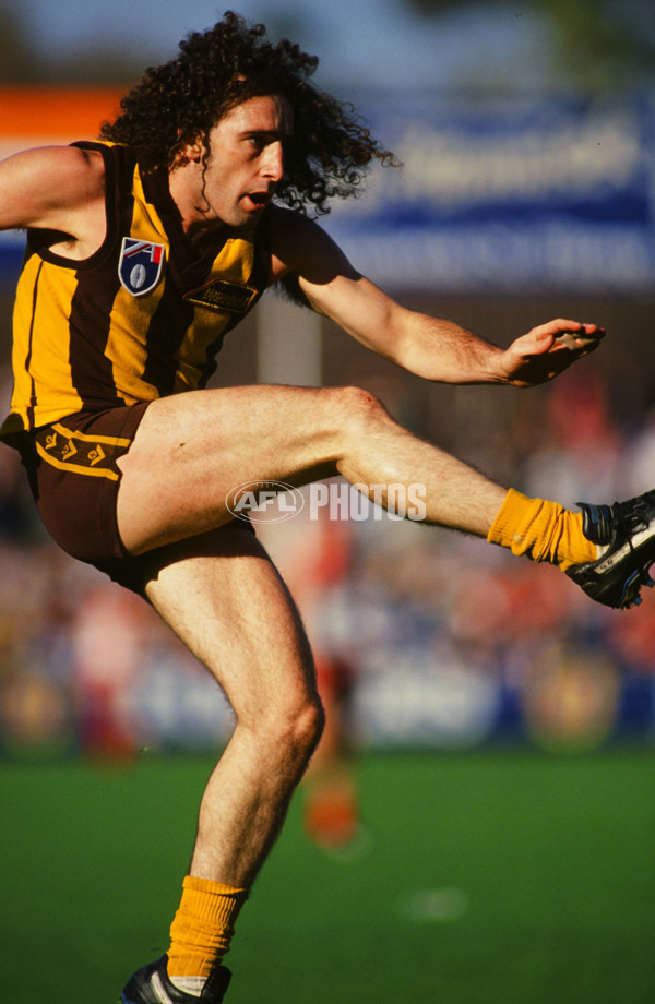 1991 AFL 2nd Semi Final Final - Hawthorn v West Coast - 21419