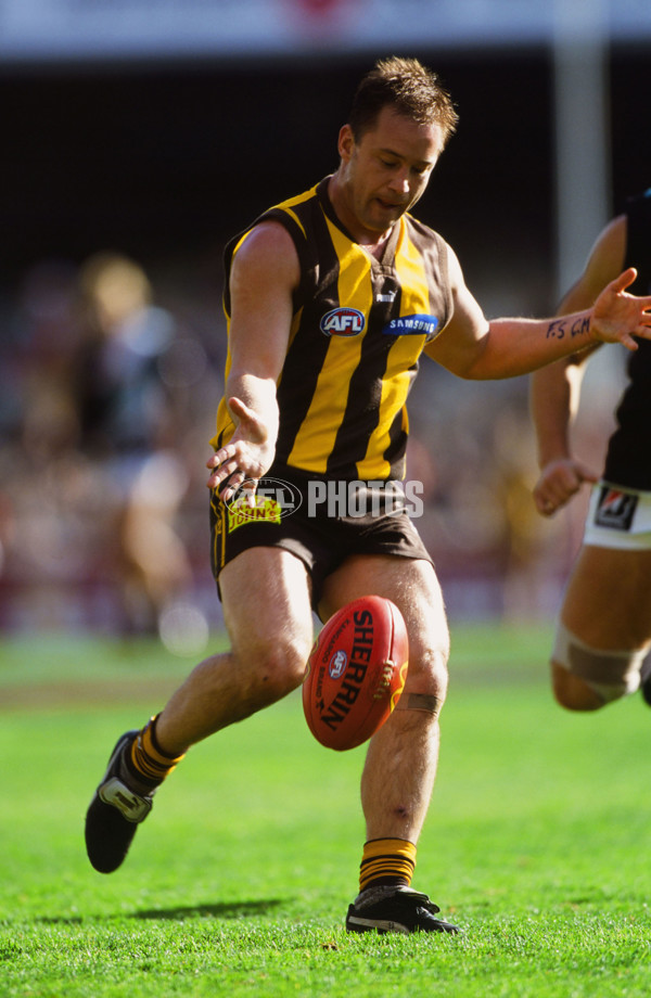 2001 AFL Round 20 - Hawthorn v Port Adelaide - 21568