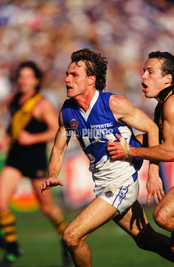 1996 AFL Round 22 - North Melbourne v Richmond - 21722