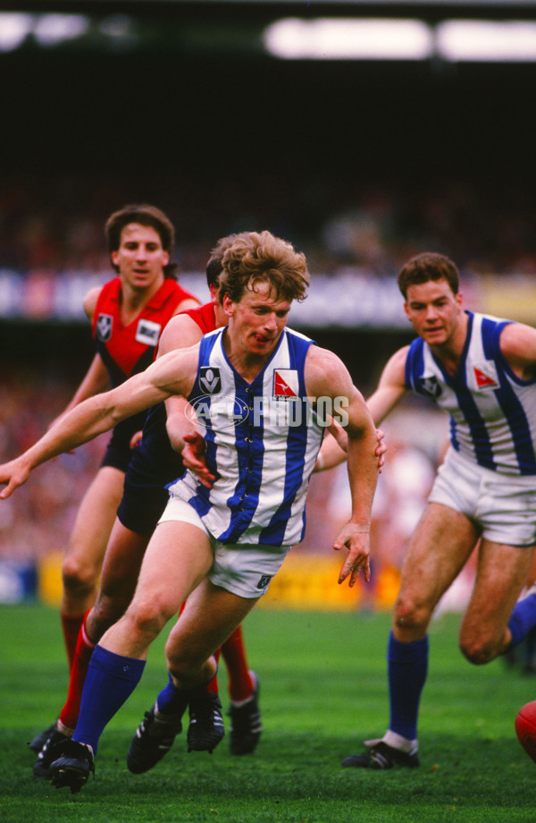 1988 VFL - North Melbourne v Melbourne - 21716