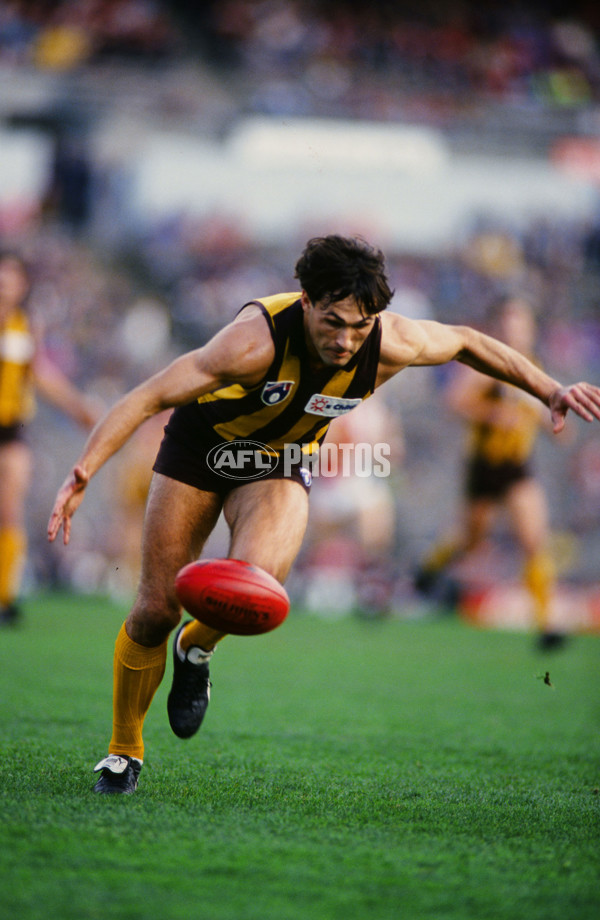 1993 AFL Round 12 - St Kilda v Hawthorn - 22011