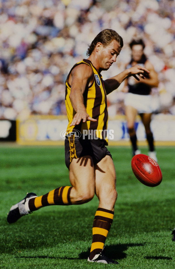 1989 VFL - Hawthorn v Carlton - A-37868365