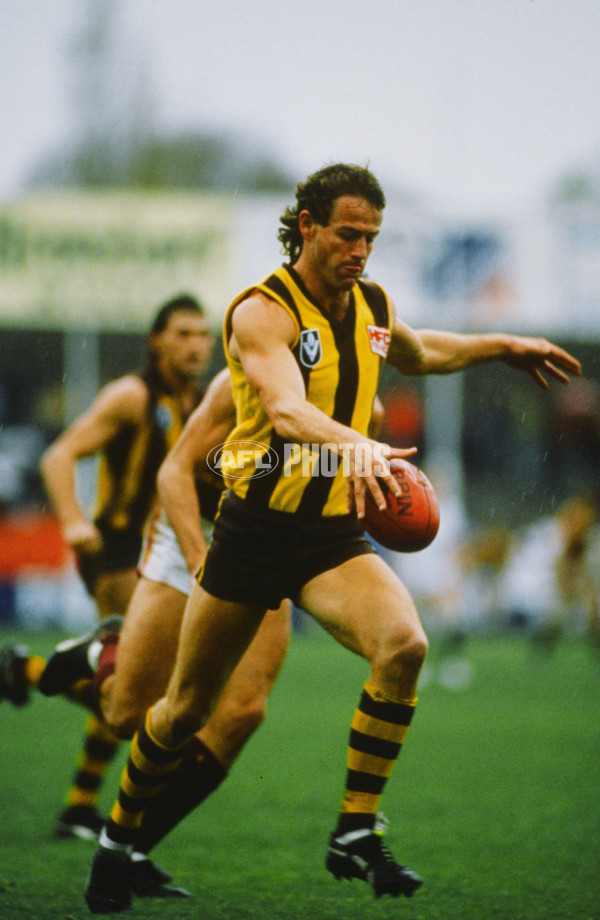 1980's VFL - Hawthorn v Fitzroy - 22022