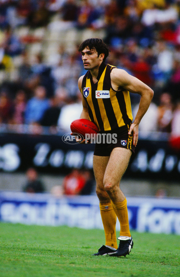 1993 AFL Round 22 - Hawthorn v Brisbane - 22010