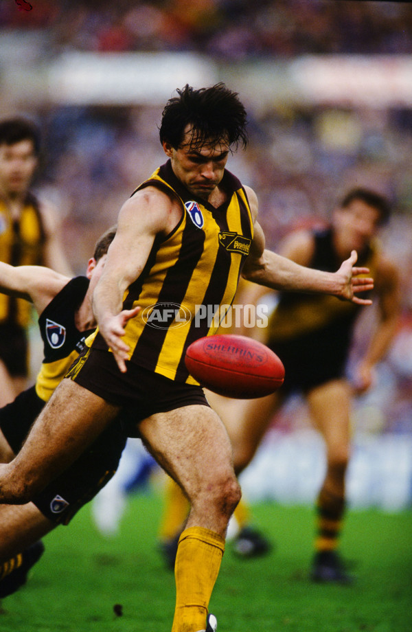 1991 AFL Round 18 - Hawthorn v Richmond - 22012