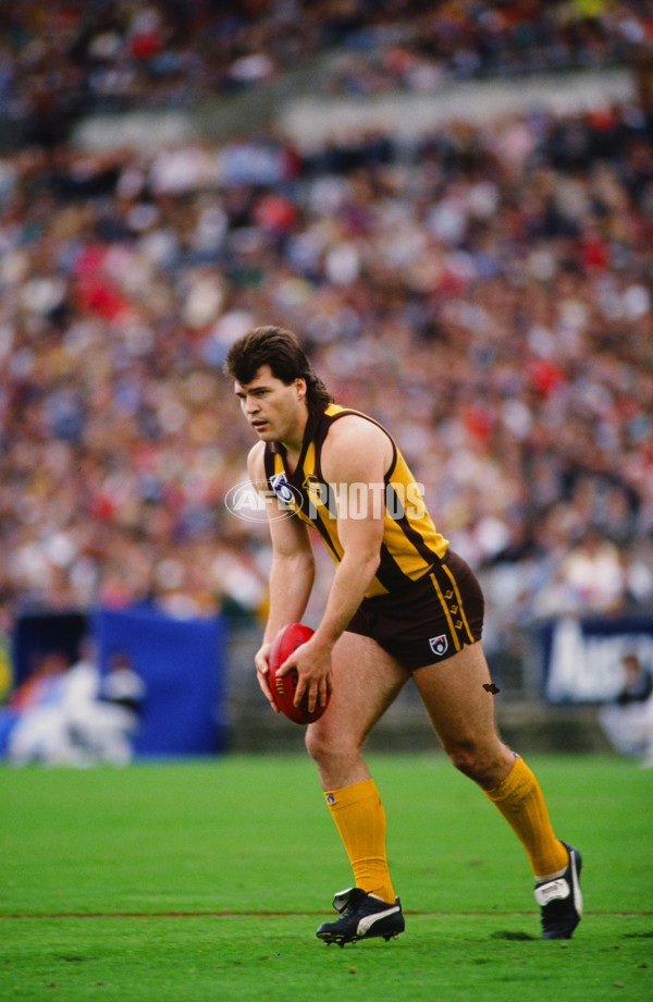 1991 AFL - Hawthorn Hawks - 21994