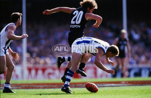 1999 AFL Grand Final - Carlton v Kangaroos - 22280