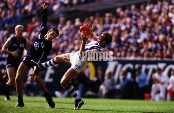 1999 AFL Grand Final - Carlton v Kangaroos - 22274