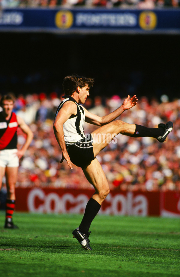 AFL 1990 Grand Final - Collingwood v Essendon - 22493