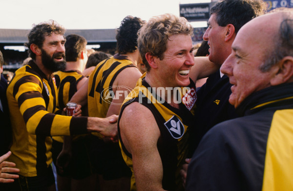 VFL 1988 Grand Final - Hawthorn v Melbourne - 23109