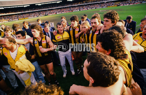 VFL 1988 Grand Final - Hawthorn v Melbourne - 23100