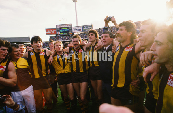 VFL 1988 Grand Final - Hawthorn v Melbourne - 23111