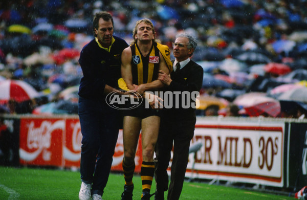 VFL 1988 Grand Final - Hawthorn v Melbourne - 23092