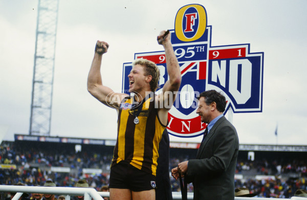 AFL 1991 Grand Final - Hawthorn v West Coast - 23098