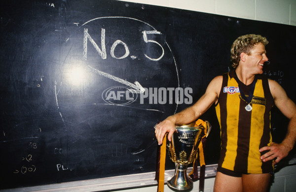 AFL 1991 Grand Final - Hawthorn v West Coast - 23175