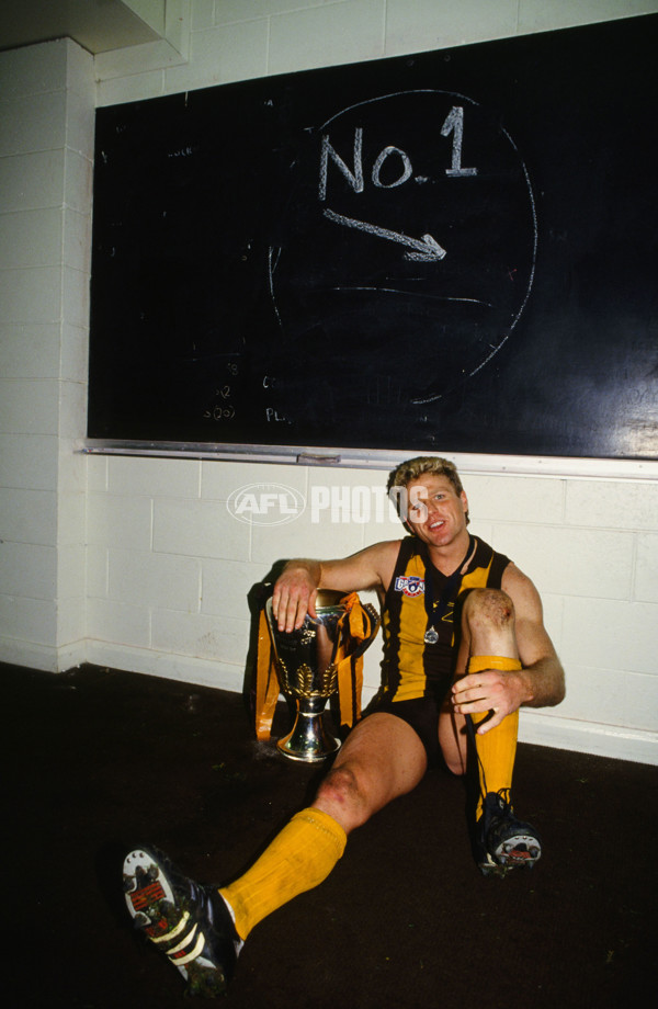 AFL 1991 Grand Final - Hawthorn v West Coast - 23179