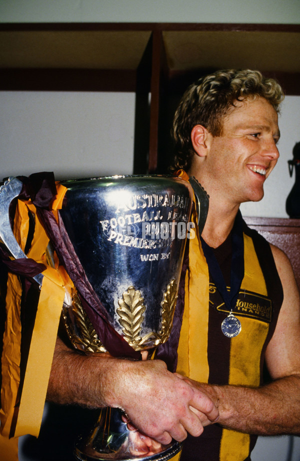 AFL 1991 Grand Final - Hawthorn v West Coast - 23188