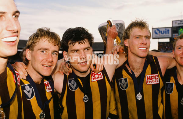 VFL 1988 Grand Final - Hawthorn v Melbourne - 23180