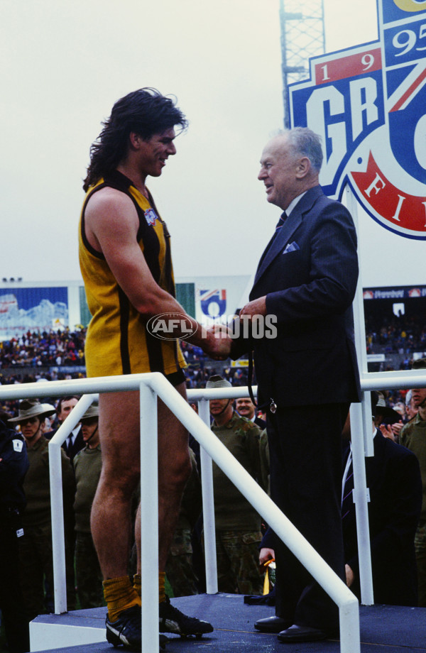 AFL 1991 Grand Final - Hawthorn v West Coast - 23169